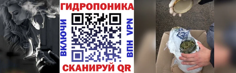 MEGA как войти  Багратионовск  Марихуана семена 